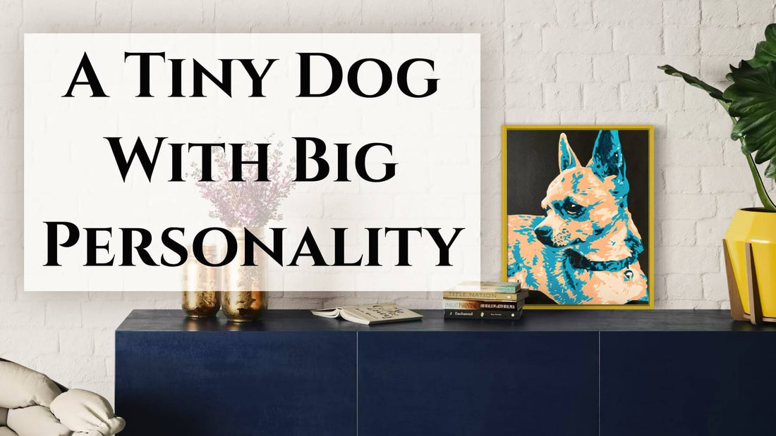 pet portrait, custom pet painting, pop art pet portrait, pop art pet painting