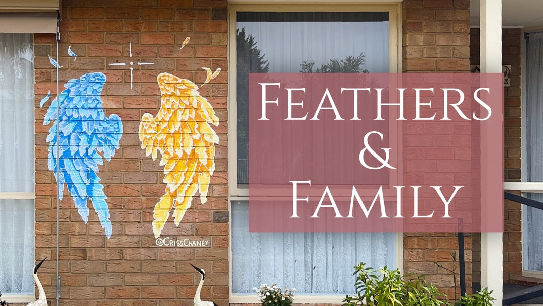 angel wings mural pakenham custom mural melbourne